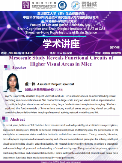 Mesoscale Study Reveals Functional Circuits of Higher Visual Areas in Mice